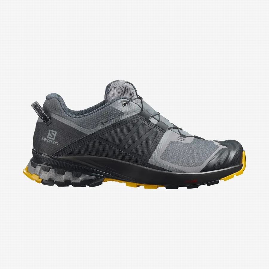 Salomon Xa Wild Gore-tex Erkek Patika Koşu Ayakkabısı Siyah/Gri [LXG6895JC]